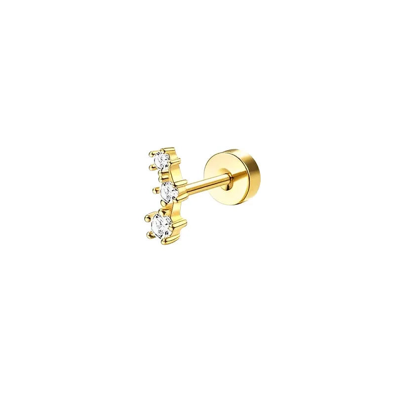 Sensitive Ear Stainless Steel Earrings