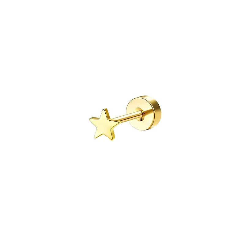 Sensitive Ear Stainless Steel Earrings