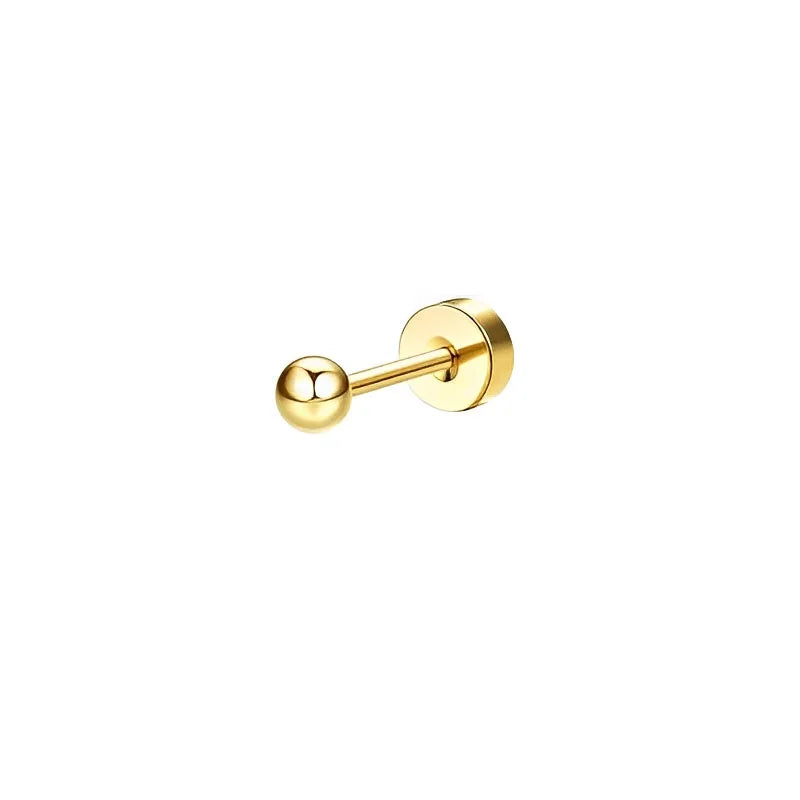 Sensitive Ear Stainless Steel Earrings