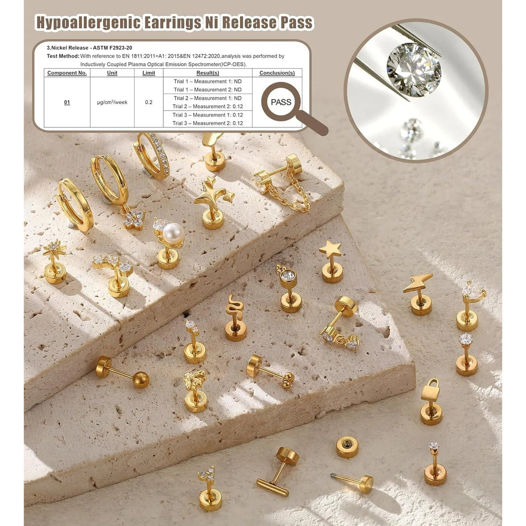 Sensitive Ear Stainless Steel Earrings