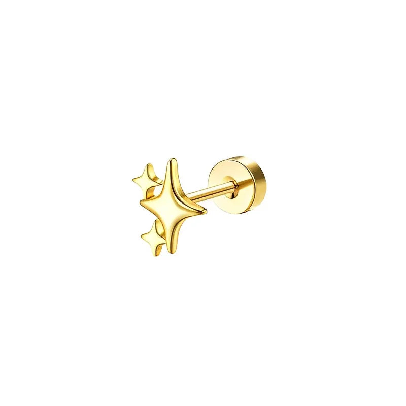 Sensitive Ear Stainless Steel Earrings