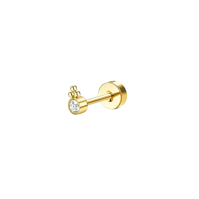 Sensitive Ear Stainless Steel Earrings