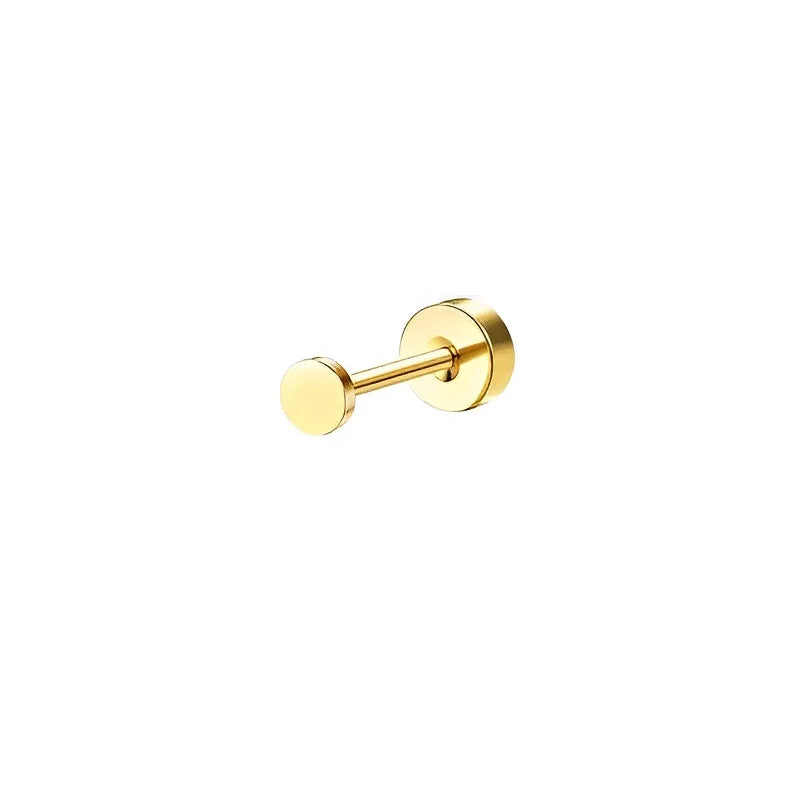 Sensitive Ear Stainless Steel Earrings