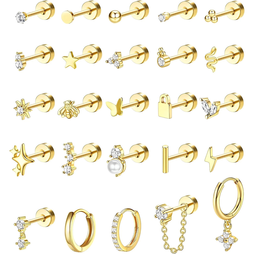 Sensitive Ear Stainless Steel Earrings