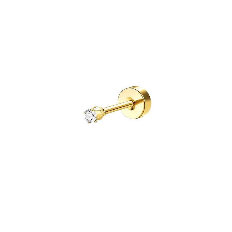 Sensitive Ear Stainless Steel Earrings